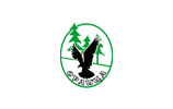logo design orlica pamporovo